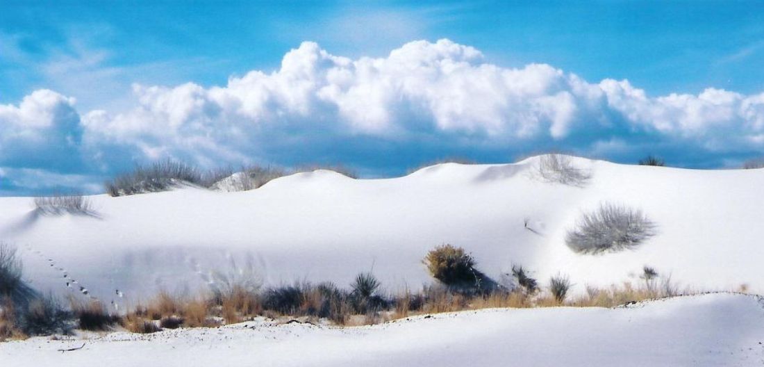 Photographed by Tina Pender